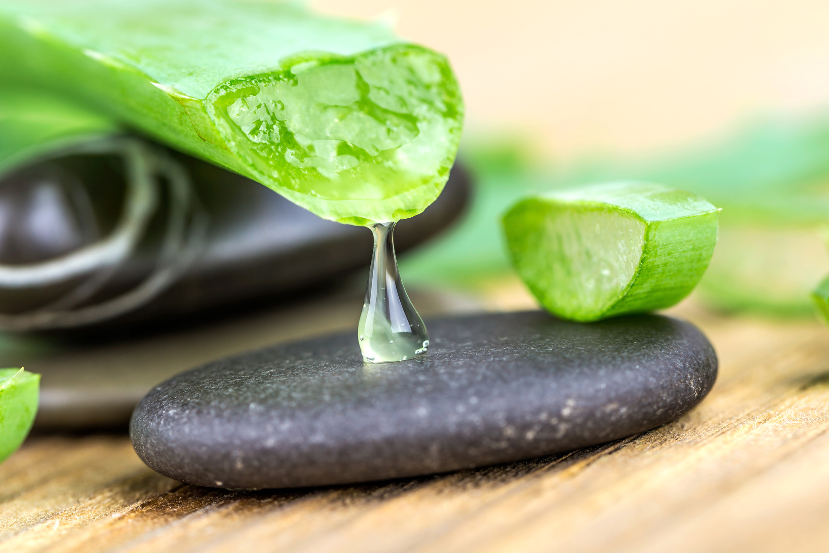 Quels Sont Les Bienfaits De Laloe Vera 5166